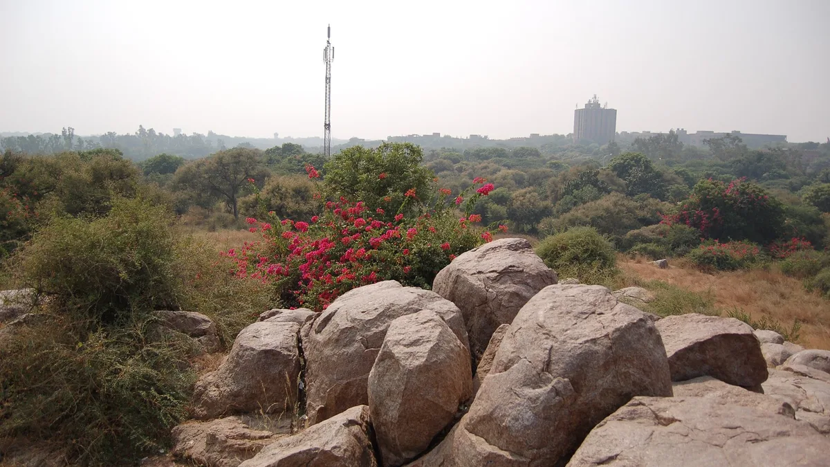 JNU, New Delhi campus